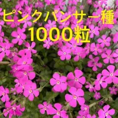 マイマイ様 リクエスト 2点 まとめ商品