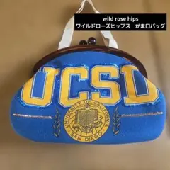 2026年最新】Wild Rose Hipsの人気アイテム - メルカリ