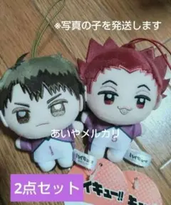 【牛島若利 天童覚セット】ハイキュー ぬいぷりけmini2