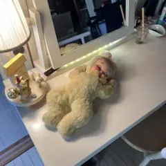 Item thumbnail for item e44fdf0e-3857-4029-b462-2a8eaa7e5a27