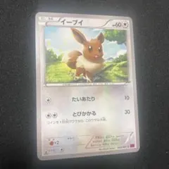 イーブイ C XY7 バンデットリング 063/081