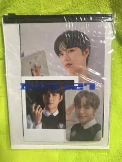 Item thumbnail for item d077f60f-ee9d-435d-ade3-c0f06d8c58f0