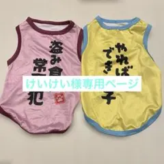 けいけい様専用ページ