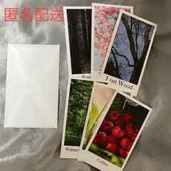 BOYNEXTDOOR BiBiANG トレカ セット