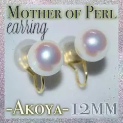 Item thumbnail for item e4045a12-7e4d-423f-b434-7c616846f4c3