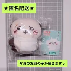 【オマケ付き】ちいかわ クリップぬいぐるみ ラッコ