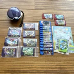 ポケモンフレンダ　テラスタルオーブ　スーパートレジャー　バンギラス　ケルディオ