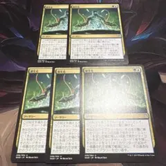 【まとめ買い200円値引】【5枚セット】新生化 JP WAR