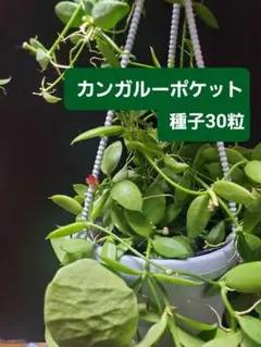 2026年最新】ディスキディアの人気アイテム - メルカリ