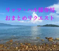 リッツ・ハル様 リクエスト 3点 まとめ商品