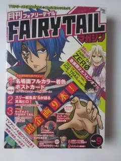 FAIRY TAIL SPECIAL BOOK 妖精たちの罰ゲーム | Mercari