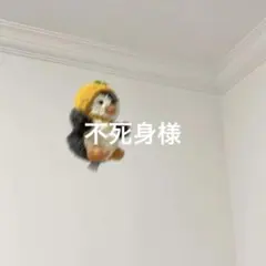 不死身様専用ページ &TEAM HARUA 雪明かり　ラキドロ　手書き　2枚