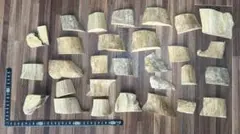 Item thumbnail for item bcda9454-df20-44bd-a33c-f0bed3e4aa60