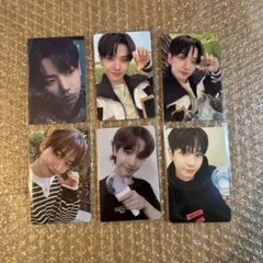 ボネクド タレントカード