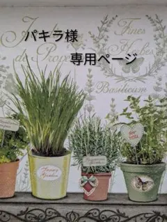 パキラ様✩専用ページ あみぐるみ サボテン２set♪