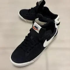 【最終値下】Nike SB Dunk Low 25cm