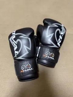 Item thumbnail for item dbf9f7fc-f0fd-4e5f-b0e7-8cdf05e7ba33