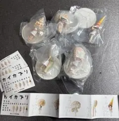 パンダの穴　カイカブリ　全５種セット