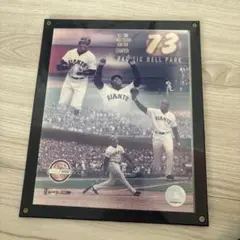 2026年最新】バリーボンズの人気アイテム - メルカリ