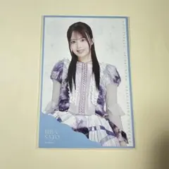 硬質ケース付】 乃木坂46 久保史緒里卒業コンサート ポストカード