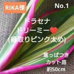 RIKA様 リクエスト 2点 まとめ商品