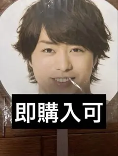 Item thumbnail for item 46ca12b8-49c6-423e-b9de-481a9b5cfc37