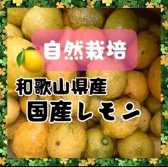 レモン 国産 約1kg ご家庭用 自然栽培のサムネイル