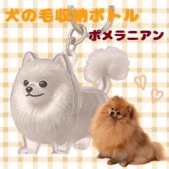 Item thumbnail for item 9ce436b0-9a49-46b1-b44e-16a39fb053dc