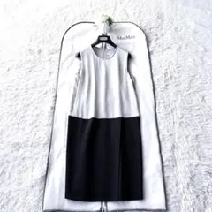 Item thumbnail for item 9387153b-aaef-430e-bb52-261690c09e1d