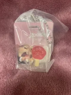 ‼️値下げ中‼️ズートピア ブリスターチャームコレクション アイスキャンディ