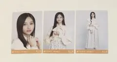 乃木坂46 生写真 井上和 ビッグボウタイブラウス 3種 コンプ