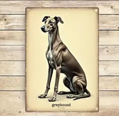 らむぱっど@プロフ必読です様 リクエスト 3点 まとめ商品