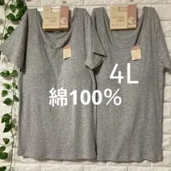 綿100％ カップ付き半袖(フレンチ袖) 2枚組 4L 大きいサイズ グレー