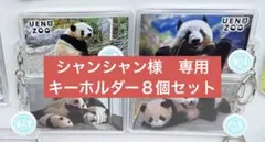 【シャンシャン様専用】キーホルダー８個セット