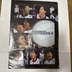 Item thumbnail for item 7d72de36-baec-4cde-9250-24dedd37fbe2