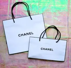 CHANEL シャネル ショップ袋 紙袋　ショッパー 大小2個セット