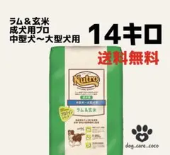 ニュートロ ドライドッグフード 18kg アメリカ製 ニュートロ ナチュラル チョイス 減量用 全犬種用 成犬用 ラム＆玄米