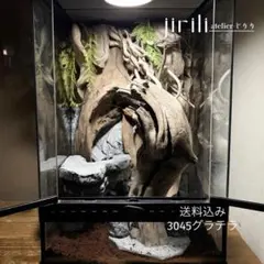 No.10 グラステラリウム3045専用バックボード3点　爬虫類背景のサムネイル