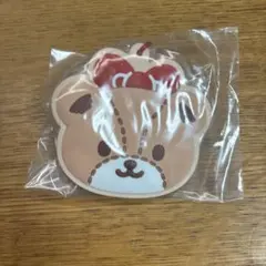 サンリオ　タイニーチャム　キーホルダー