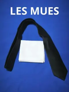 ♦LES MUES ♦メンズ　ネクタイ ポケットスクエアセットのサムネイル