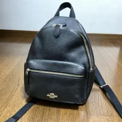 2026年最新】coach ミニリュックの人気アイテム - メルカリ