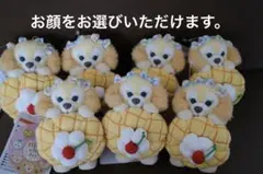 クッキー・アン ぬいぐるみバッジ フィルド・ウィズ・ジョイ！ダッフィー＆フレンズ