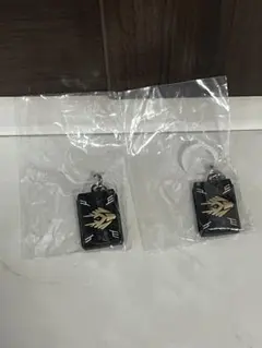 仮面ライダー めじるしアクセサリー 仮面ライダー龍騎