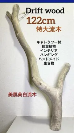 Item thumbnail for item 765a7f7d-3f48-4680-84d9-66a0fe99c17e