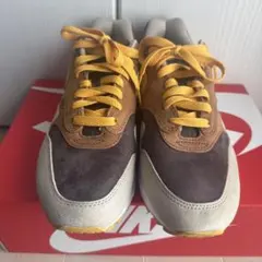 NIKE Air Max 1 Duck Pack