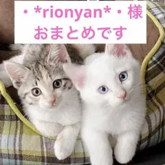 ・*rionyan*・様 リクエスト 3点 まとめ商品