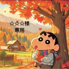 ☆☆☆様 リクエスト 4点 お取り置き中(12\1)