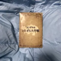 Item thumbnail for item 0bc0423e-7b9f-4d41-aa96-68e600b97152