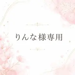 【りんな様専用】　nintendo switch