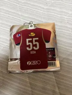 鹿島アントラーズグッズ